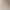 60 مدل لباس عروس گل برجسته