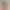 فلسفه تور عروسی چیست؟